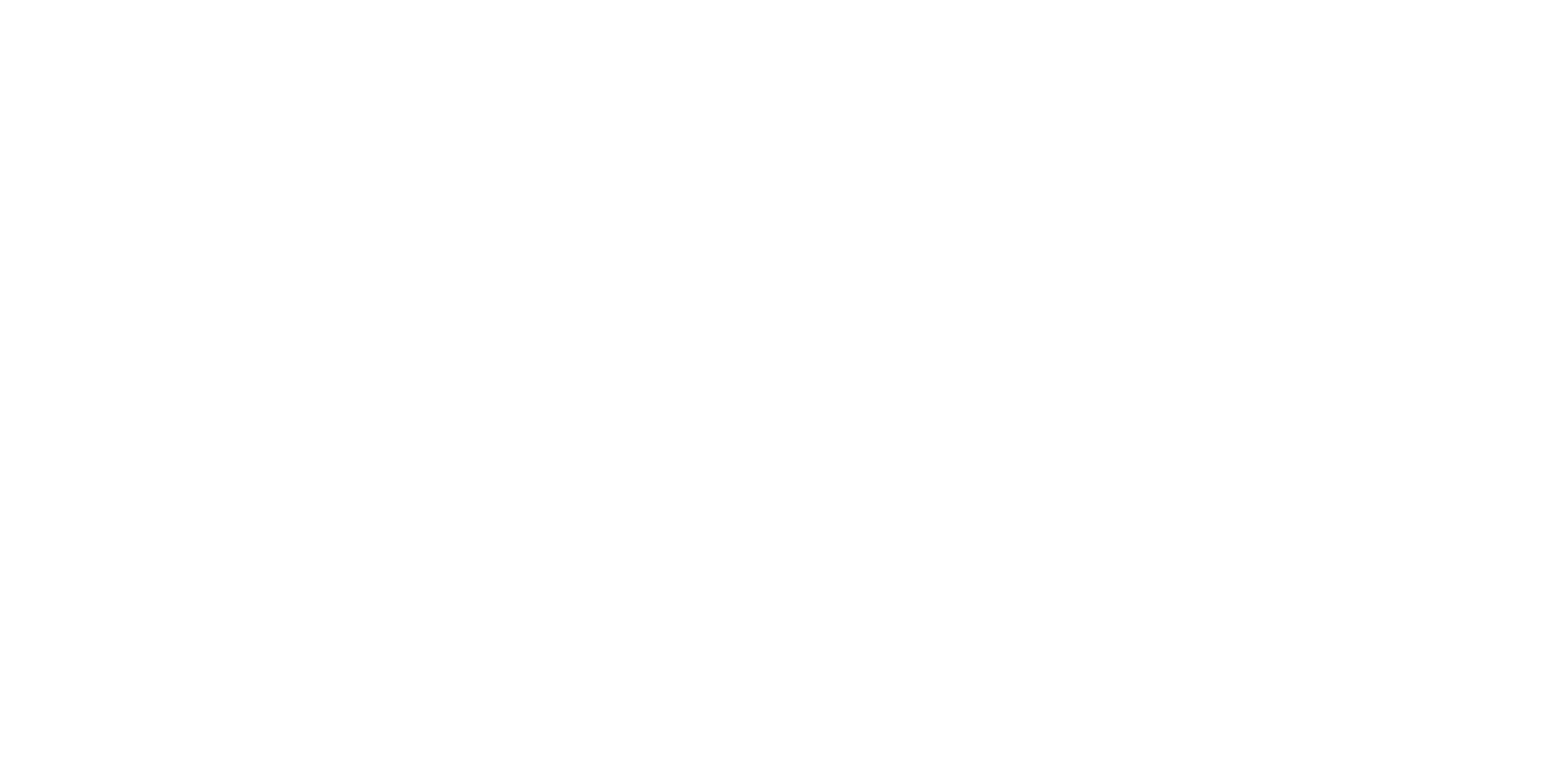 Northern Virginia Fine Living Logo
